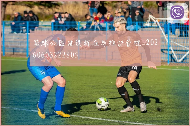 篮球公园建设标准与维护管理_20260603222805