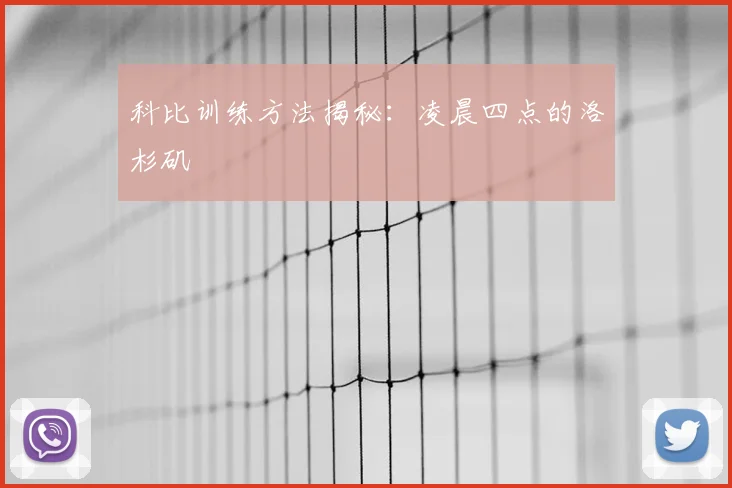 科比训练方法揭秘：凌晨四点的洛杉矶